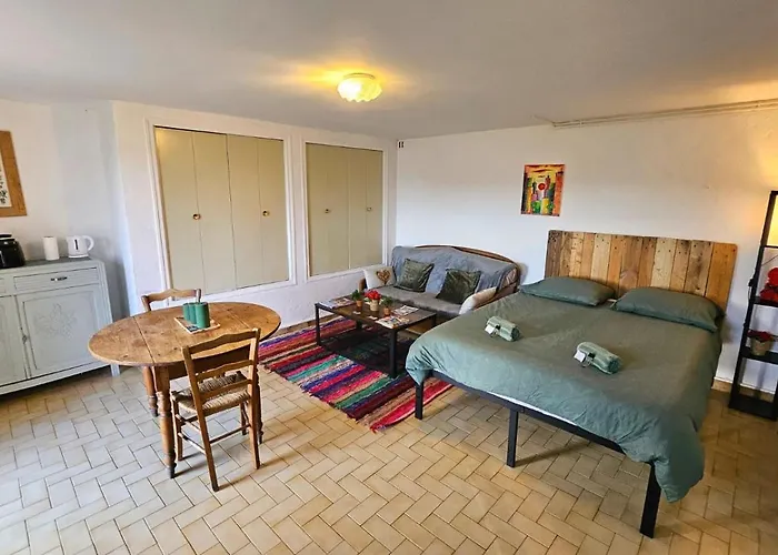 Studio Avec Terrasse Et Jolie Vue Sur Le Lac